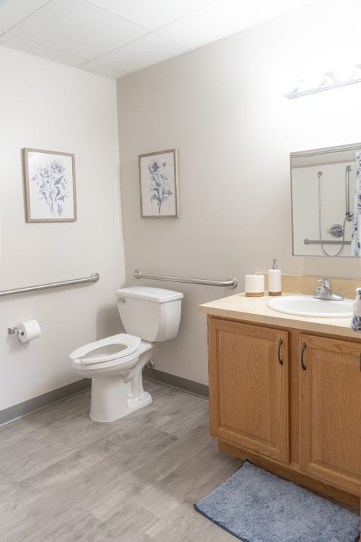 a bathroom with a toilet and a sink and a mirror