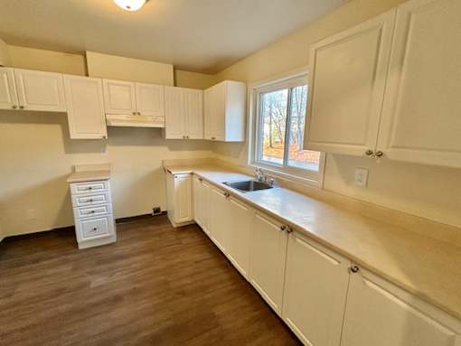 a kitchen with white cabinets and a sink and a window