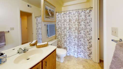 a full bathroom with a walk-in closet