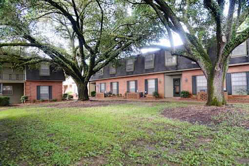 A tree in front of a building with a green lawn.