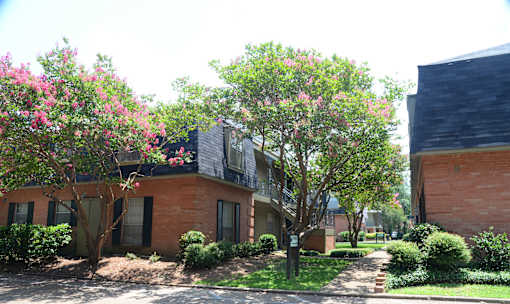 A tree with pink flowers is in front of a brick building.