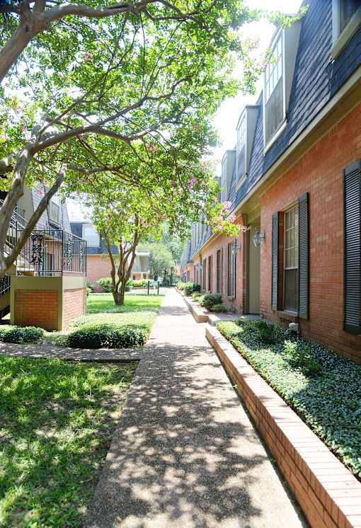 A tree-lined walkway between two rows of houses.