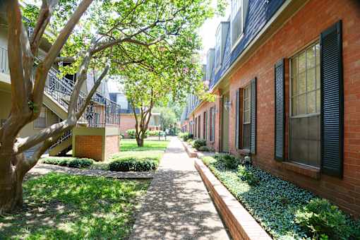 A tree-lined walkway between two rows of houses.