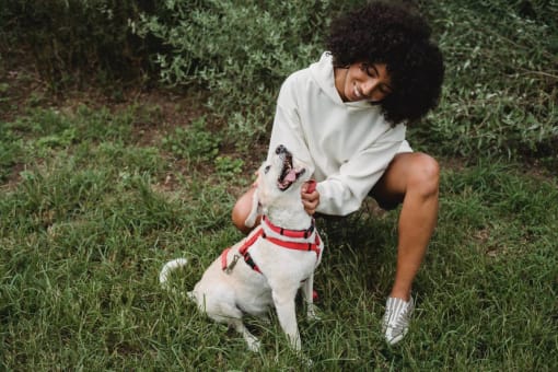 a woman petting a white dog on the grass