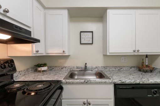 Kitchen Sink at Aspen Village, Ohio