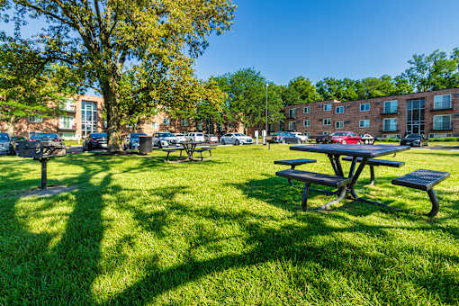 Open green space with picnic tables and mature trees at Lisa Ridge Apartments