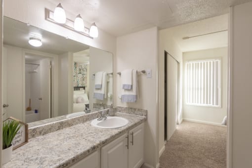 Updated Bathrooms at Princeton Court, Dallas, 75231