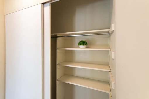 A small plant sits on the top shelf of an empty white pantry.