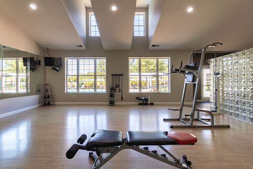 A gym with a bench, weights, and a television.