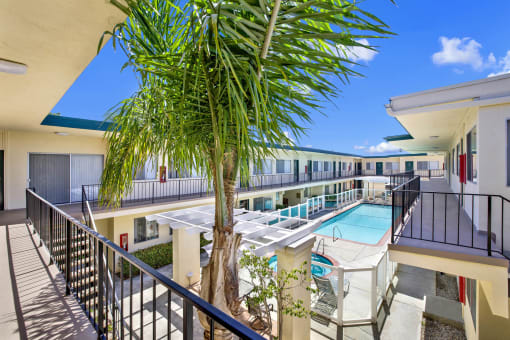 a balcony with a pool and a palm tree at Olive Tree Apartments, Torrance