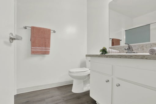 a bathroom with a toilet and a sink and a mirror at Copa Ladeene Apartments, Torrance
