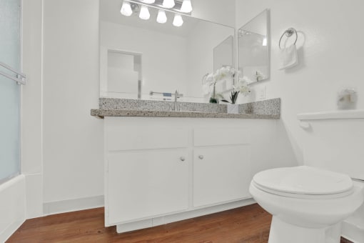 a bathroom with a toilet and a sink and a mirror at Copa Ladeene Apartments, California, 90505