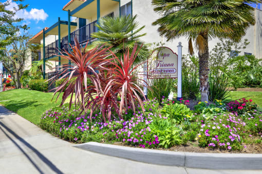 a garden in front of a building with palm trees and flowers at Copa Triana Apartments, Torrance, CA 90505
