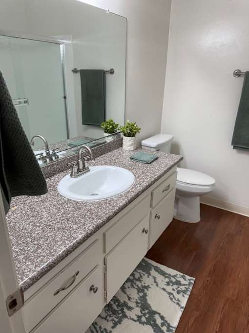 A bathroom with a marble countertop and a white toilet.