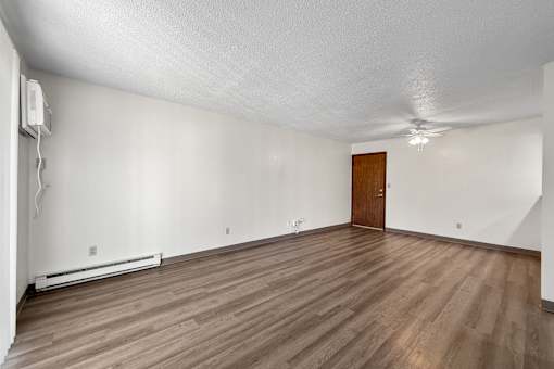 A room with a wooden floor and a brown door.