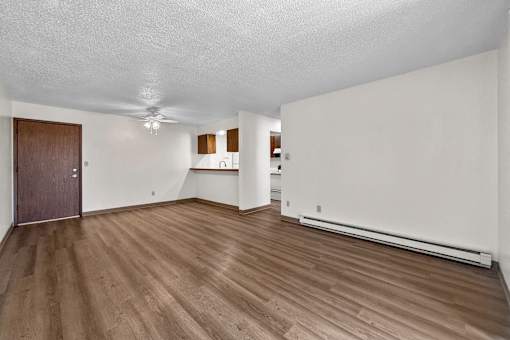A room with wooden flooring and a brown door.