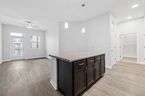 A kitchen with a counter and cabinets.