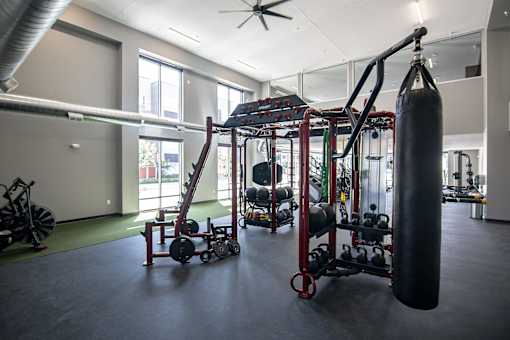 A gym with a punching bag, weights, and exercise equipment.at Linc, Iowa   