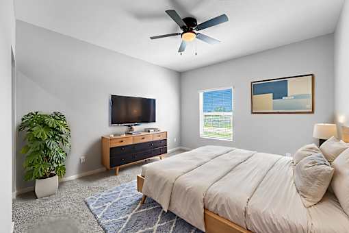 A bedroom with a bed, a television, and a plant.