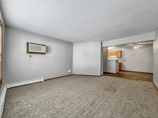 A room with a carpeted floor and a window on the left side.