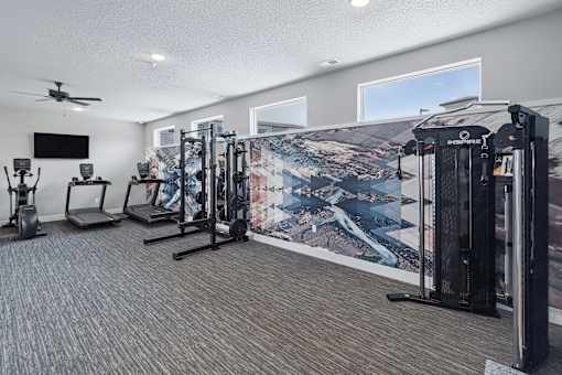 A home gym with a large wall mural and various exercise equipment.