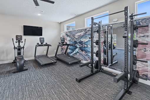 A home gym with a variety of equipment including a treadmill, elliptical trainer, and a squat rack.