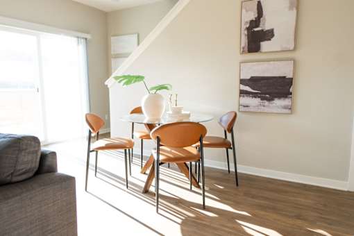 A dining table with chairs and a potted plant in a sunny room.