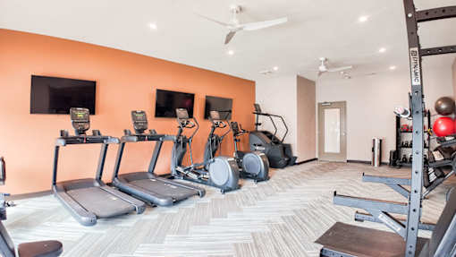 A gym with treadmills, weights, and exercise equipment.