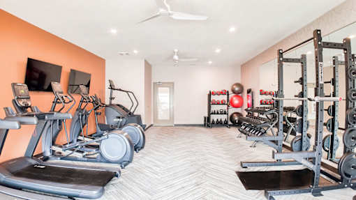 A well-equipped home gym with a treadmill, elliptical machines, and weightlifting equipment.