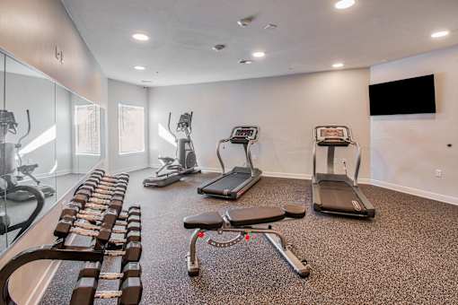 A gym with treadmills, exercise bikes, and dumbbells.
