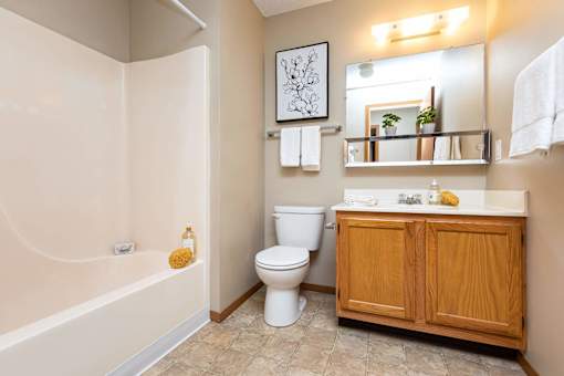 a bathroom with a toilet and a sink and a bath tub at Lake Shore Park, Ankeny, 50021