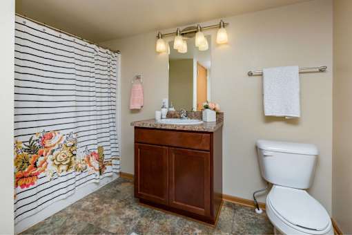 a bathroom with a toilet sink and shower and a mirror at Melbourne Apartments, IA, 50320
