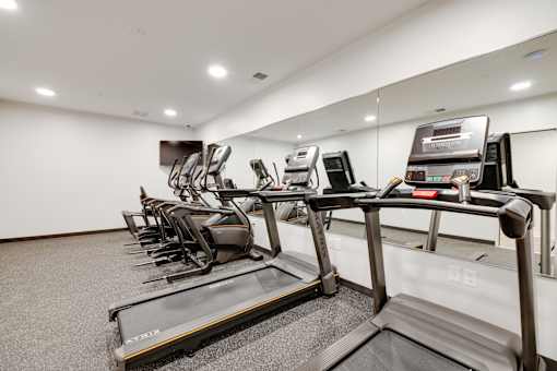 A row of treadmills in a gym.