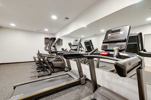 A row of treadmills in a gym.