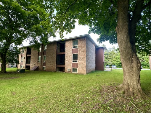 a brick building with a tree in front of it