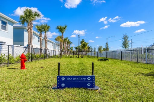 The mailbox is a dog park with a red fire hydrant