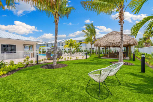 A backyard with two chairs and a palm tree