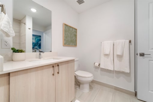 A bathroom with a toilet and a sink and a mirror