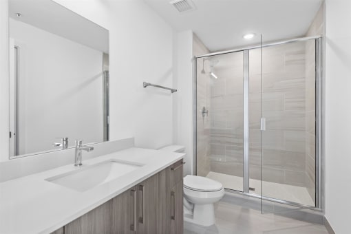 a bathroom with a shower and a sink and a toilet