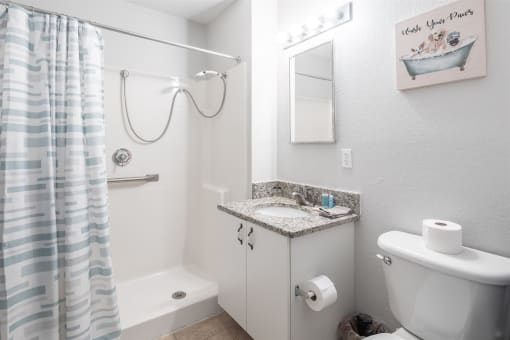 a bathroom with a shower and a toilet and a sink