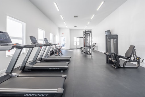 the gym is equipped with cardio equipment and weights