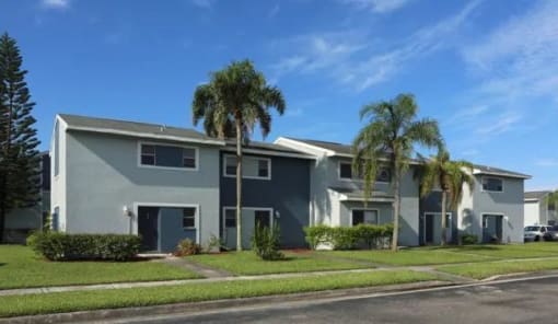 a group of houses with palm trees in front of them