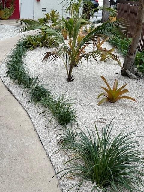 a group of palm trees in the snow