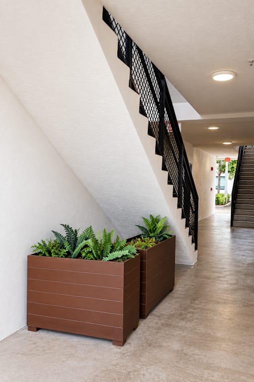 A long hallway with a staircase and a planter on the side.