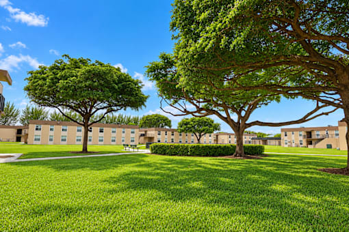 A large tree stands in the middle of a grassy area in front of a building.
