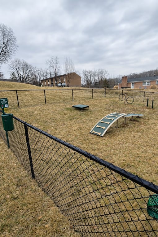 A playground with a slide and a fence.