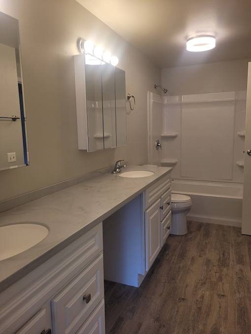 A bathroom with a sink, mirror, and toilet.