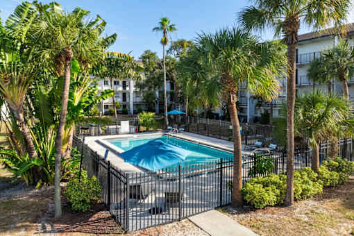 A pool surrounded by palm trees and a fence.