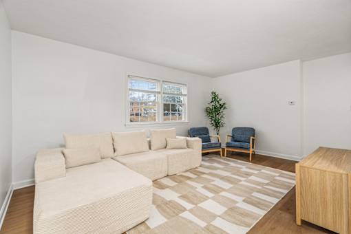 A living room with a large couch and a small tree.