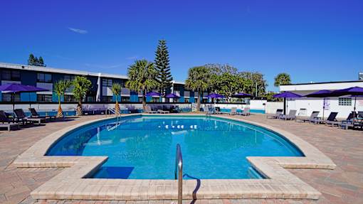 A large outdoor swimming pool with a blue tiled edge and a red ladder.